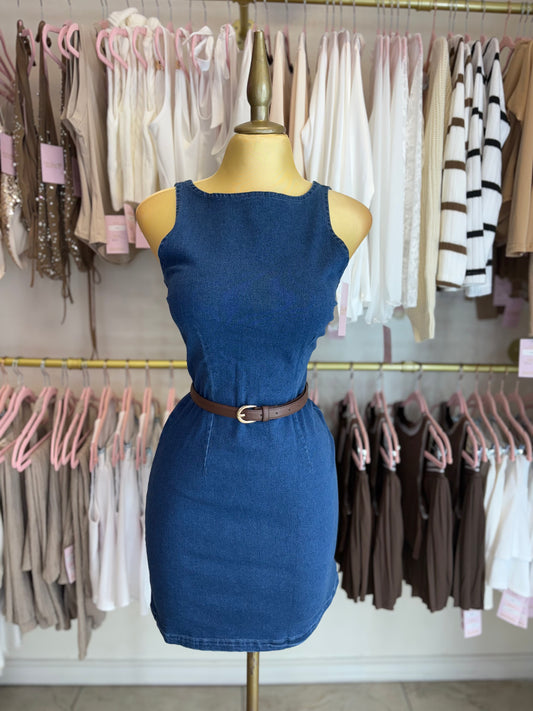 Denim Dream Dress