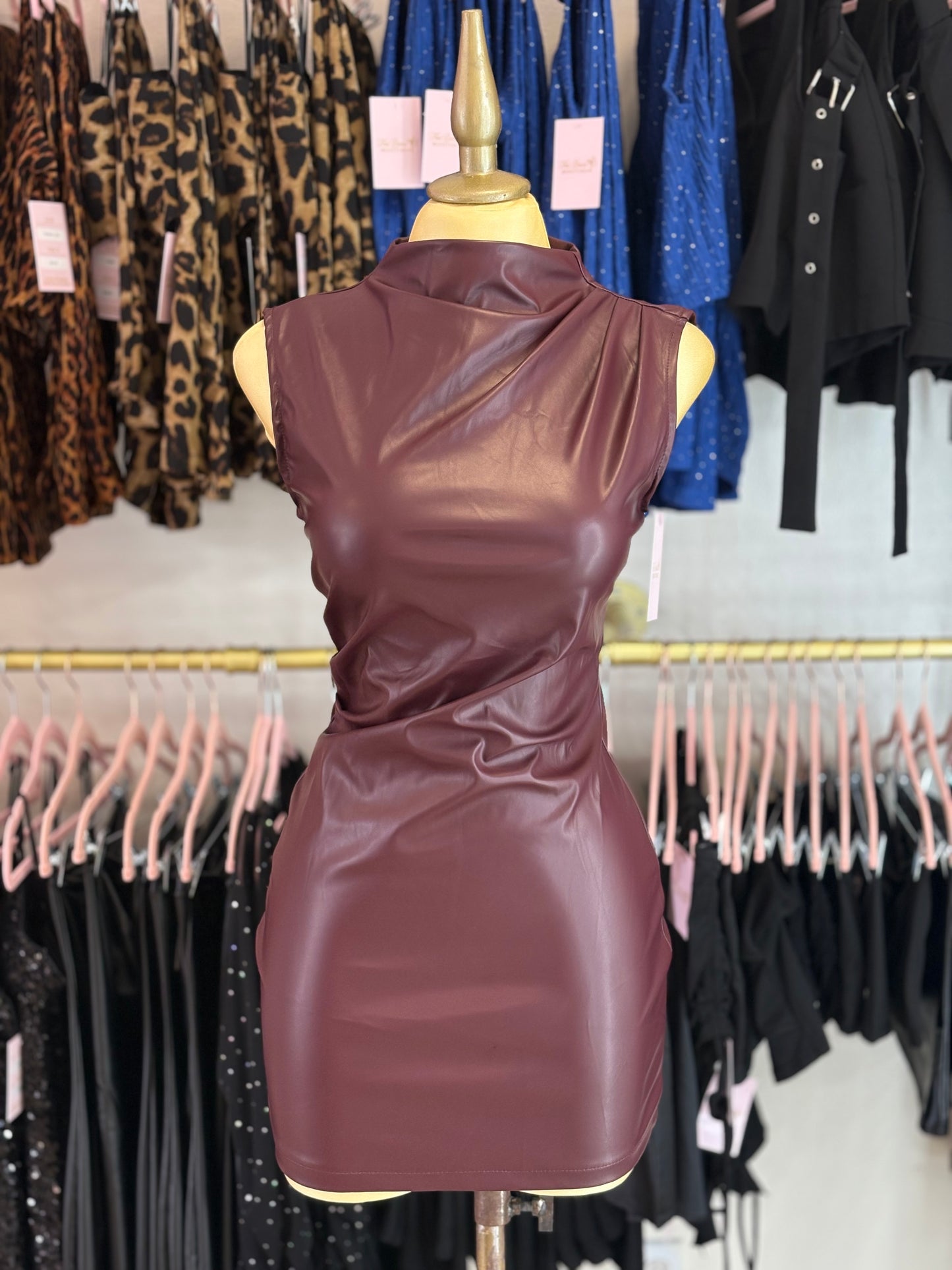 Wine Aura Dress