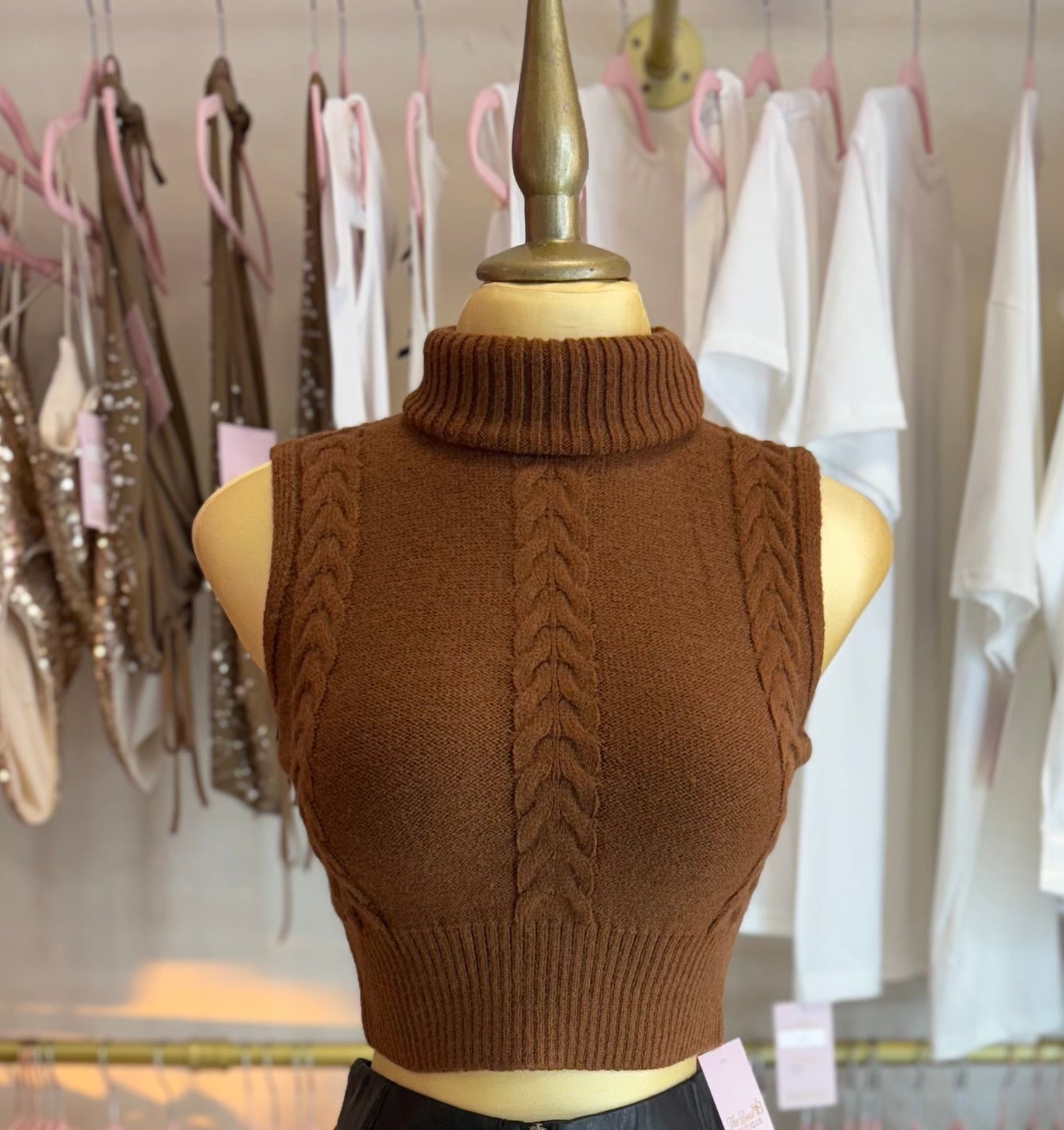 Camel Knitted Turtle Neck Top