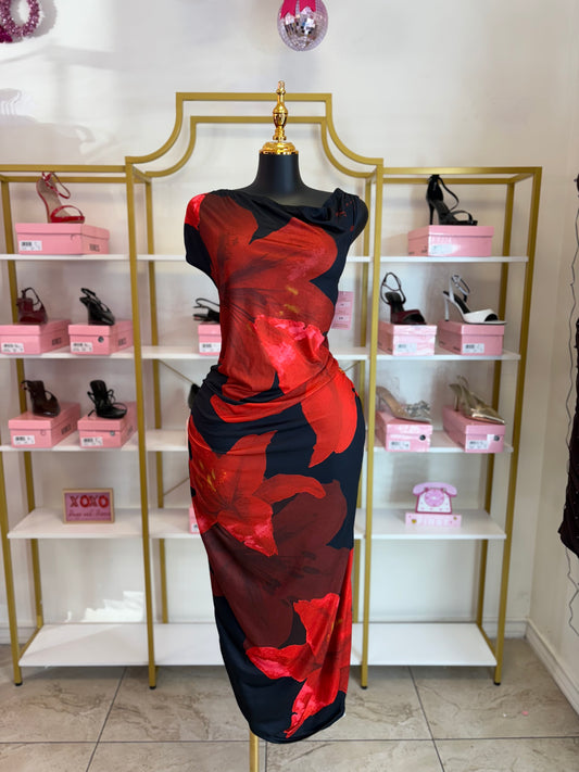 Painted in Passion Dress